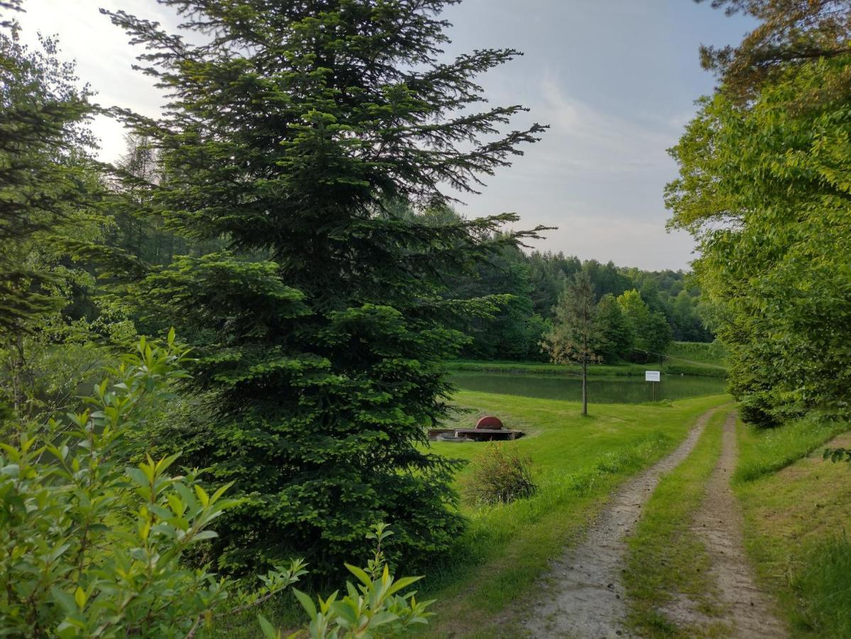 Zajazd Nad Stawami Farm stay *